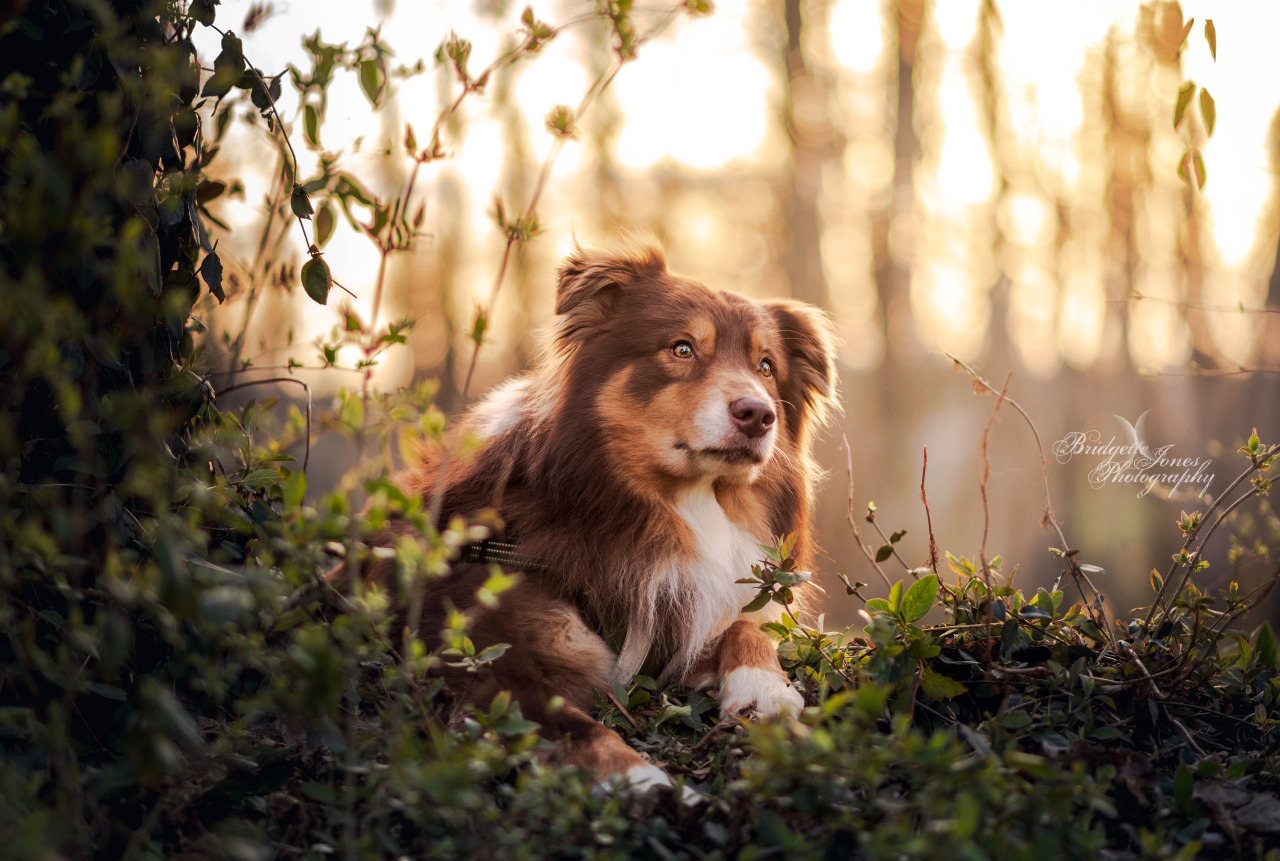 Handsome forest lad! 