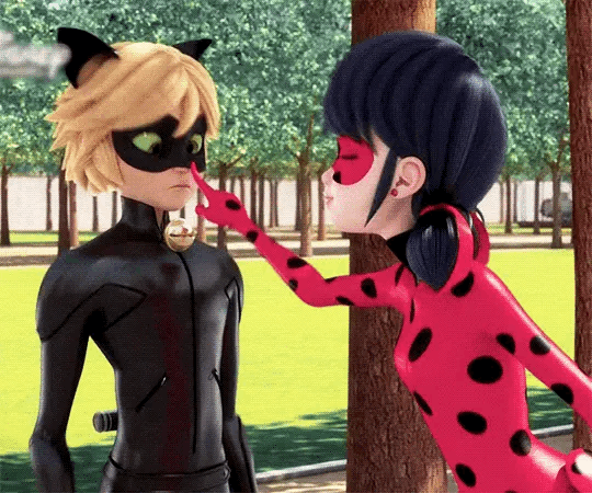 Chat noirs flirting with ladybug