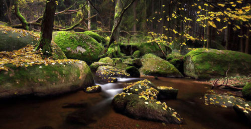vilenavila:  The most wonderful nature,just like a fairy tale.