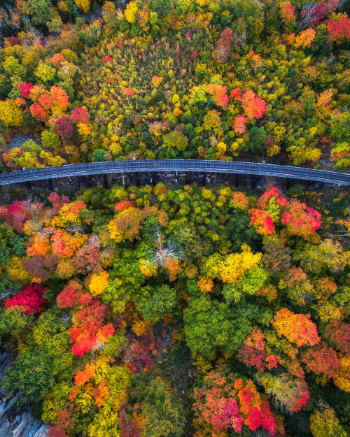 wordsnquotes:  Photographer Michael Matti and his roommate Drove Through Every State in the Northeast US to Photograph the Beauty of Autumn Keep reading  a u t u m n 