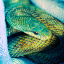 doris-the-snake