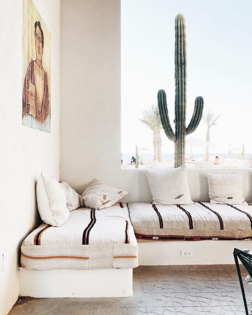 sabonhomeblog:Photo: @sohpiecarpenter at Hotel San Cristóbal Baja