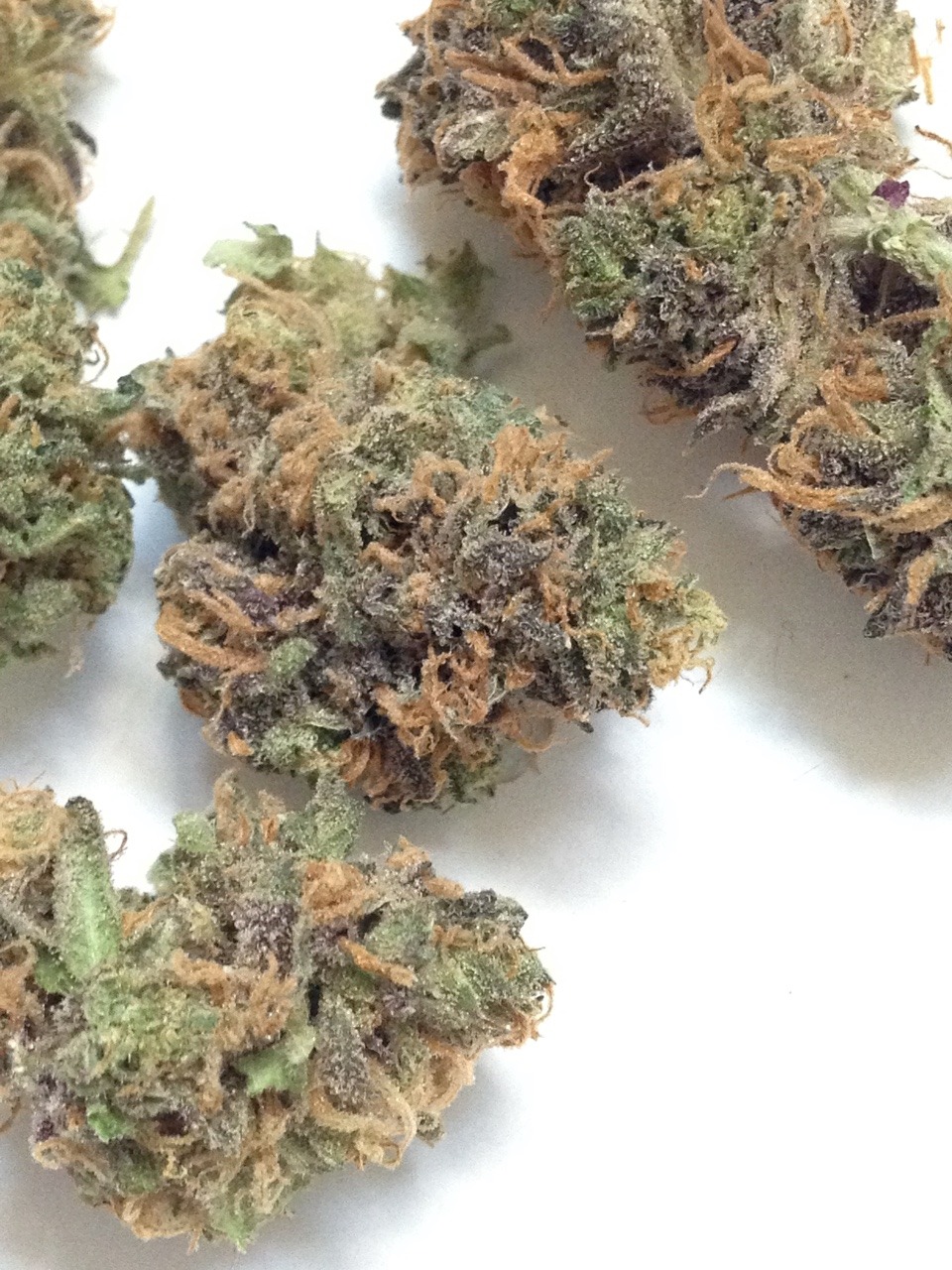 the-higher-life:  😈🍃 