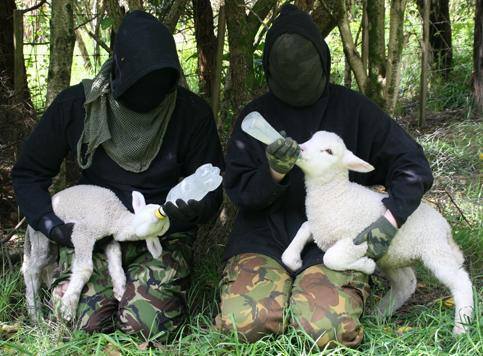 libereat:  These are the people your government calls “Eco Terrorists.” 