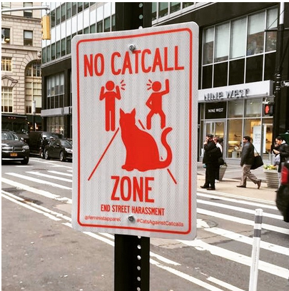 hara-kiri:  andoutcamethewolf:  infamyjunkie:  micdotcom:  These brilliant “No Catcalling” signs are popping up around NYC   These are fucking retarded. Brilliant in that they’re finding any and every reason to manipulate people’s freedom and