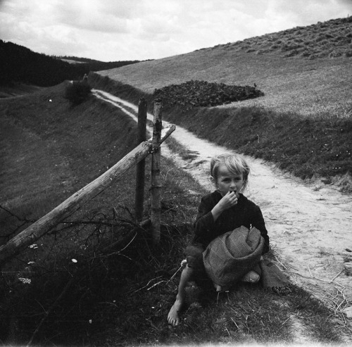 lamus-dworski: Eustachy Kossakowski: Pieniny (region in southern Poland), 1960.Source: artmuseu