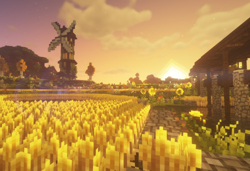 maidcraft: —poppy farm in the morning.my build on @bittercraftmc!