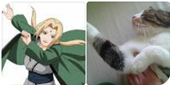 Anime vs my kitty :D