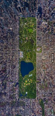 9gag:  Central Park viewed from the top.