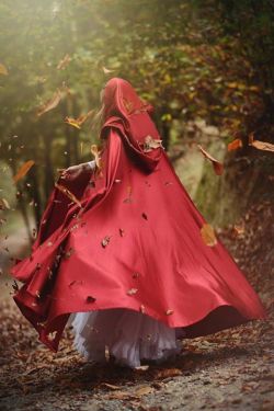 tx-gentleman:  - Little Red Riding Hood