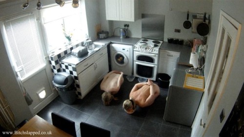 shamefacedhousewife:Today their meal is served in bowls on the floor.