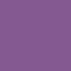 pantone-colors:  Pantone 2603-u rgb(132,89,145)