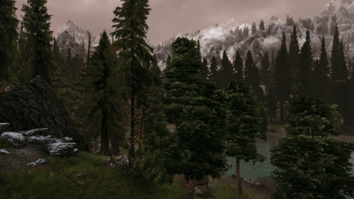 belmontswhip: Dark Forests of Skyrim version 2 (WIP) I started working on this back in January but g