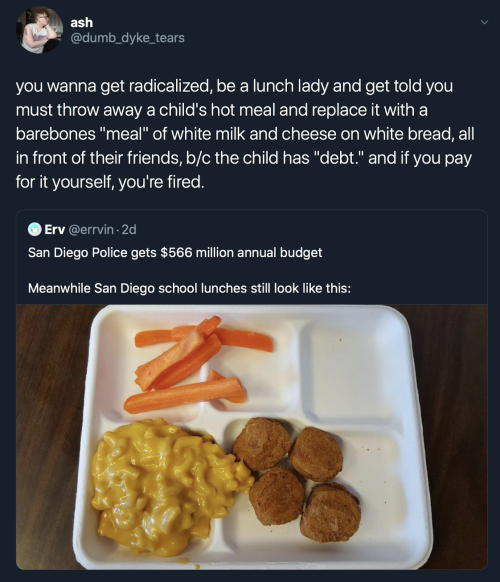 celine-deyonce:death2america:deathtalksaboutlife:By the way, school “lunches” like this have been a 