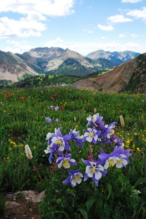 wonderous-world:  La Plata Mountain, Colorado, USA by Jay Irwin