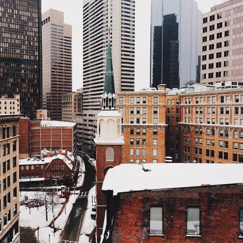 melodyandviolence:Boston ( January 2015- Juno) by brad romano