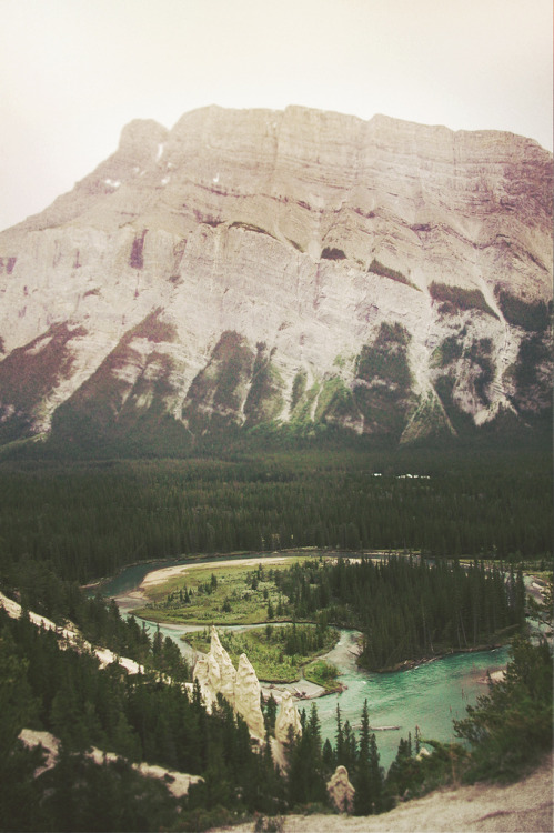 woodendreams:  (by Dangerous…Dan)