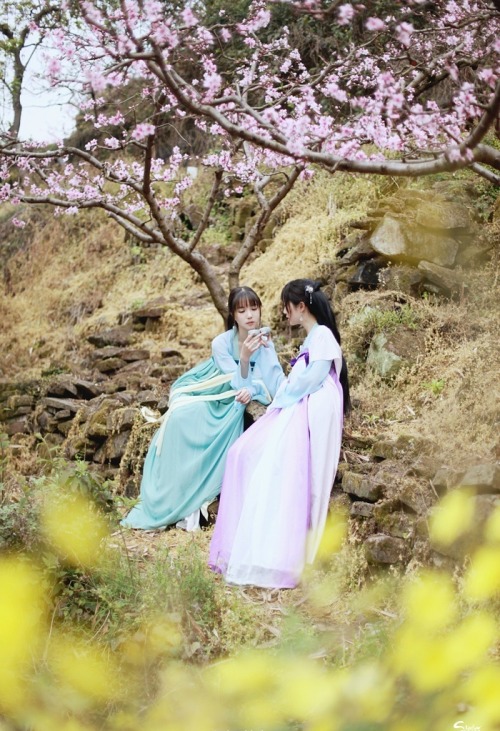 Hanfu (han chinese clothing) photoset via 影子的白日梦. The models are wearing Tang Dynasty-style chest-hi