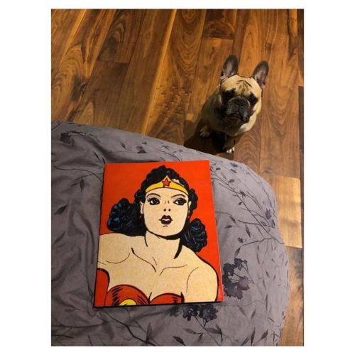 Lucca y el 16. Voy a releer la completa historia de Wonder Woman, del fantástico Les Daniels. #loqueleoen2019 (at CDMX Polanco)
https://www.instagram.com/p/ByMYtxADZu6/?igshid=1u0y9toczmkrb