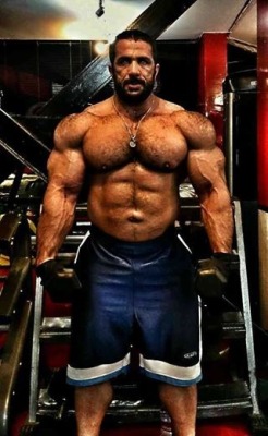 furonmuscle:  Iranian bodybuilder Mojtaba