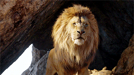 disneyliveaction:Mufasa voiced by James Earl Jones in The Lion King