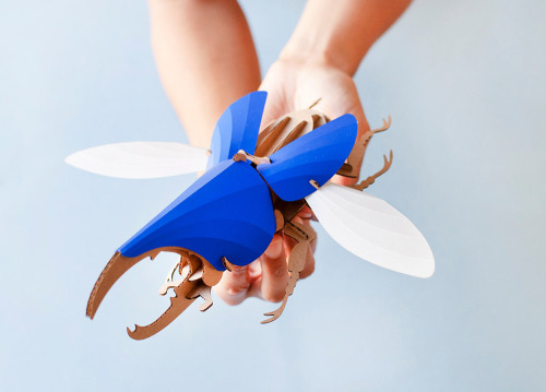 itscolossal: DIY Paper Beetle Sculpture Kits by Assembli