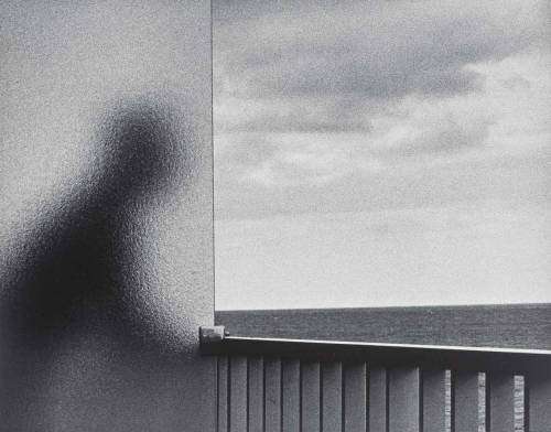 vjeranski:  André KertészMartinique, 1972silver print203x252mmEstate of André Kertész 