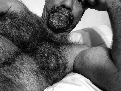 Porn photo Beefy Furry Daddy