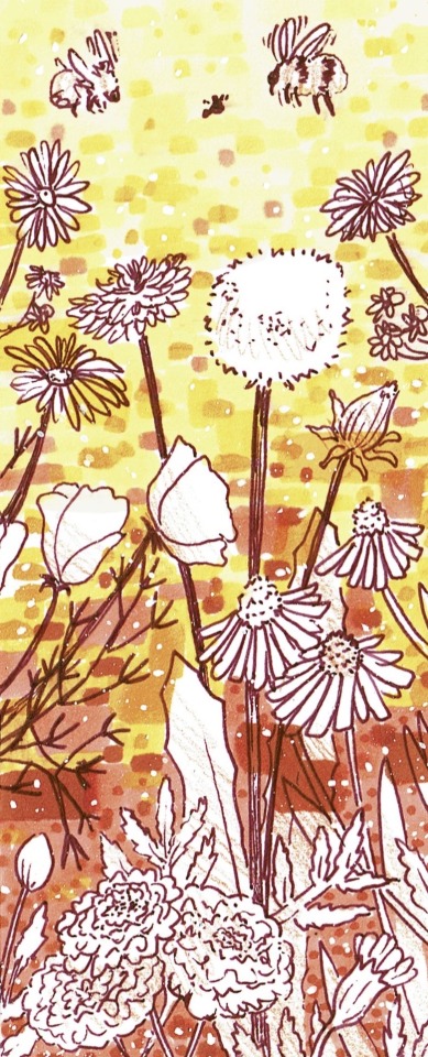 A marker illustration in yellows and oranges, featuring buzzing bees and many kinds of flowers. 