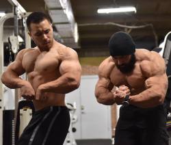 whitepapermuscle:  Jason and Paul Huh