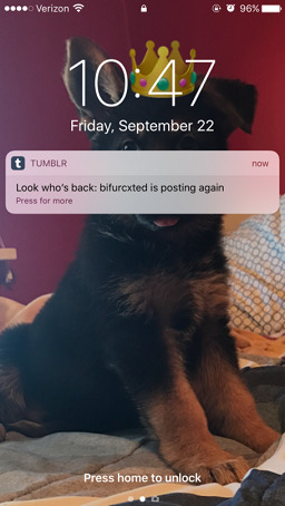 Tumblr media