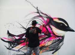 mymodernmet:  Graffiti birds by Luis Seven