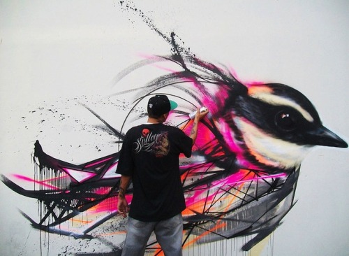 XXX mymodernmet:  Graffiti birds by Luis Seven photo