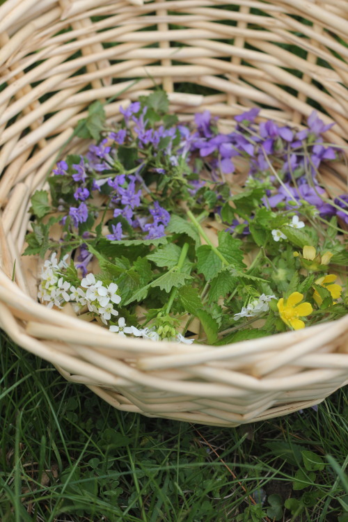 ash-elizabeth-art: basket of flowers I picked, April 2020