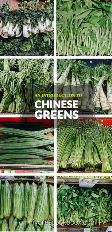 foodffs: An Introduction to Chinese Greens – including a list of vegetables with photos and names to