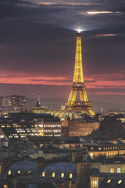modernambition: Eiffel Tower, Paris | WF 