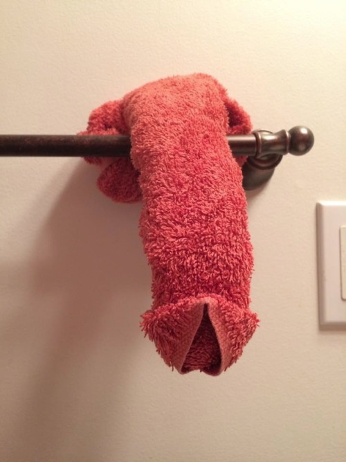 sirweltynew:  Left my towel at her place 🔗⛓️🔒(moved blog to bdsmlr named sirwelty)