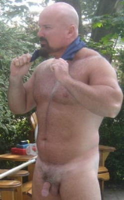 bruteinspector:     