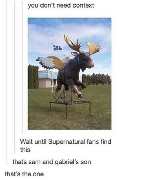 itsstuckyinmyhead:  The supernatural fandom needs some love after all this crap. 