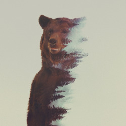 moarrrmagazine:  Double Exposure Animal Portraits