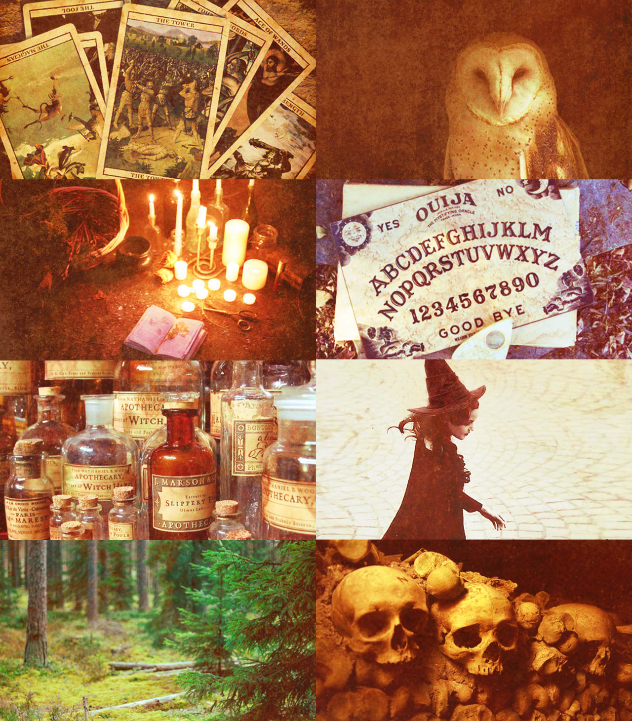 gothiccharmschool:   Yes. Everything about this photo set.  Something Wicked This
