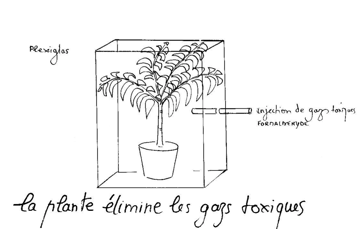 Pots d'échappement – Média LAROUSSE