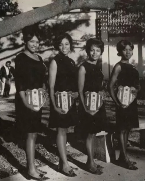 soulbrotherv2:  28 Rare Pictures Of What Pledging A Black Greek Org Looked Like Back In The Day  [View all photos.] 
