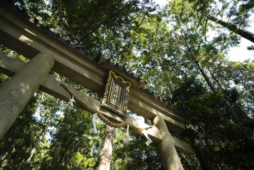 Hiryu Shrine by mugitee on Flickr.