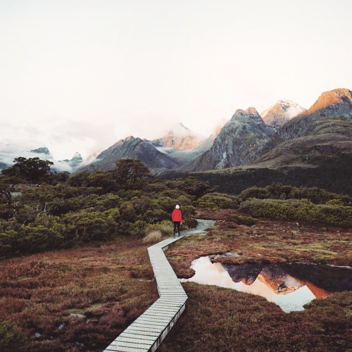 thisiswander: Romain LeclercNew ZealandSony A7S | Canon EOS 5D Mark III | iPhone 5sInstagram now all