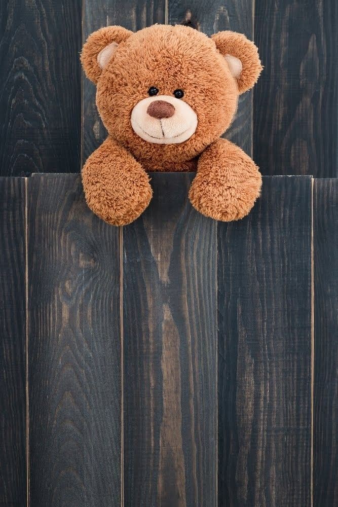 My teddy bear - Page 32 5715cb4e1cdee71d422d816f4792615bb831a34c