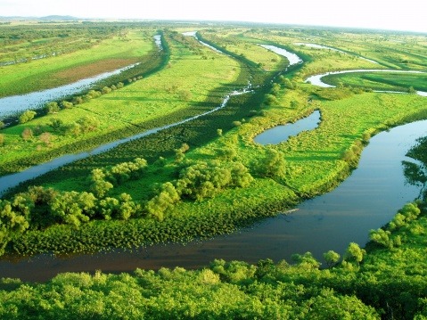 laboratoryequipment:China Vows Wetland PreservationChina will continue to strictly protect its wetla