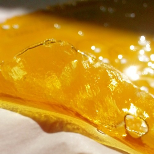 weedporndaily:  Great clarity, Color, flavor, and stability on this high cbd mix. Good Medicine x GodFather x Kush Berry. Need some help coming up with a name by rumpwax http://ift.tt/USCveq