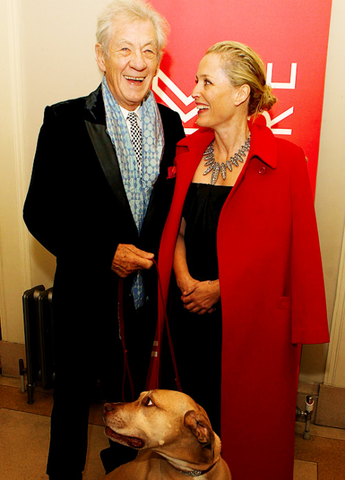 andersondaily:Gillian Anderson photographed with Sir Ian McKellen at the Park Theatre Gala - Novembe