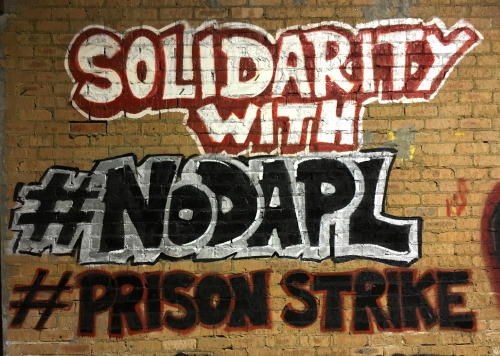 Solidarity with the #NoDAPL struggle and the US #PrisonStrike from the occupied territory known as S